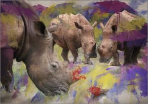 Stop Rhino Poaching 